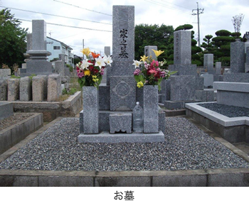 サンメガカット防草システム 施工事例